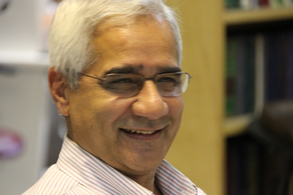 منصور صفت گل - عضو هيئت علمي گروه تاريخ دانشگاه تهران 